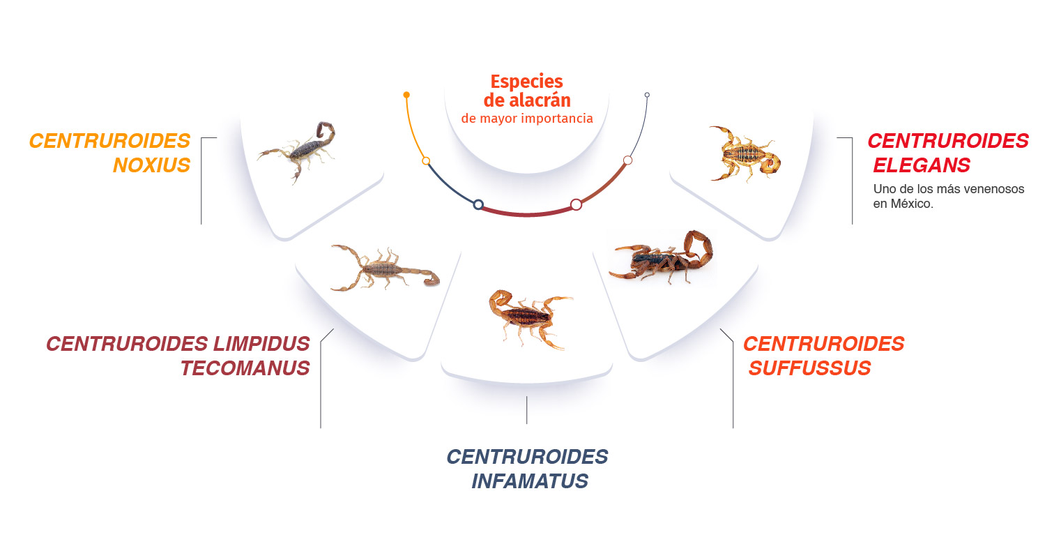 esquema